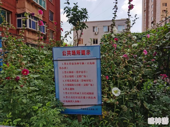 小花园想夹东西怎么办？教你如何巧妙利用空间和植物搭配，打造美丽实用的小花园设计方案