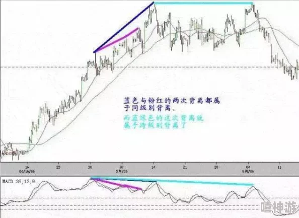 深度解析界外狂潮中声呐技能的实战应用与特性介绍