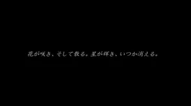 如何为《文字化化》制作翻译字幕？